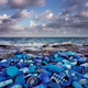 Image for article titled Seabirds Are Eating Tons of Plastic, and the Problem is Getting Worse